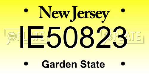 IE50823 New Jersey License Plate