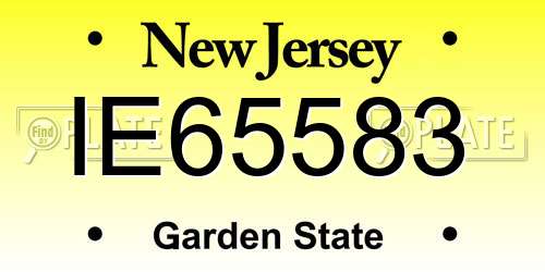 IE65583 New Jersey License Plate