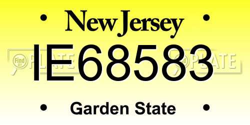 IE68583 New Jersey License Plate