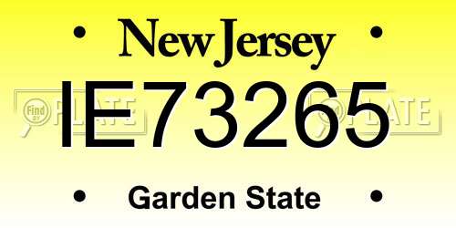 IE73265 New Jersey License Plate