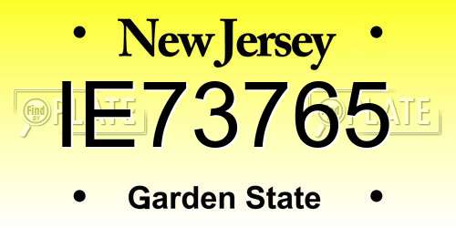 IE73765 New Jersey License Plate