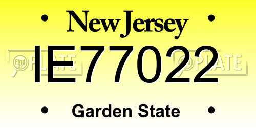 IE77022 New Jersey License Plate