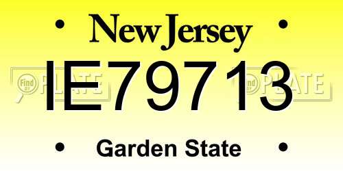 IE79713 New Jersey License Plate