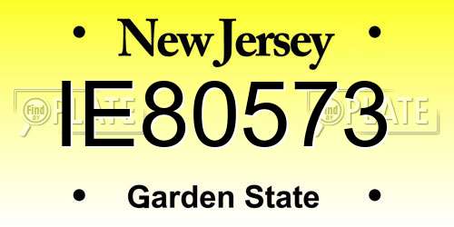 IE80573 New Jersey License Plate