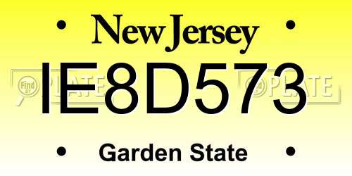 IE8D573 New Jersey License Plate