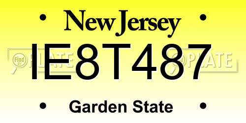 IE8T487 New Jersey License Plate