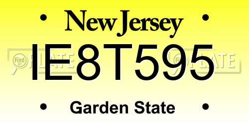IE8T595 New Jersey License Plate