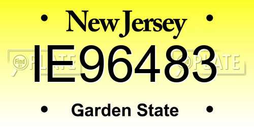 IE96483 New Jersey License Plate