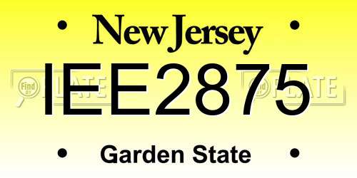 IEE2875 New Jersey License Plate