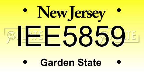 IEE5859 New Jersey License Plate