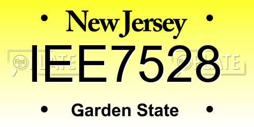 IEE7528 New Jersey License Plate