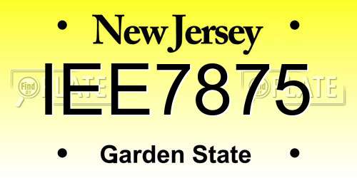 IEE7875 New Jersey License Plate