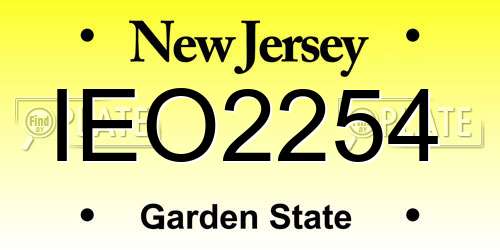IEO2254 New Jersey License Plate