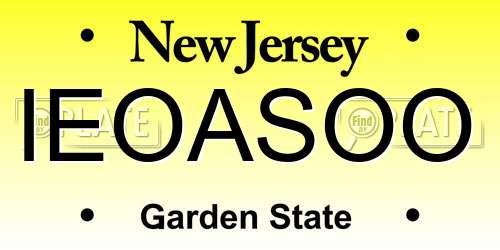 IEOASOO New Jersey License Plate