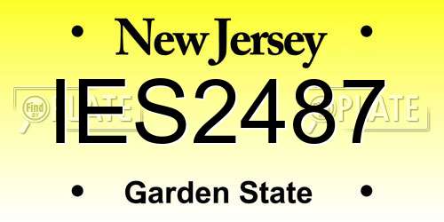 IES2487 New Jersey License Plate