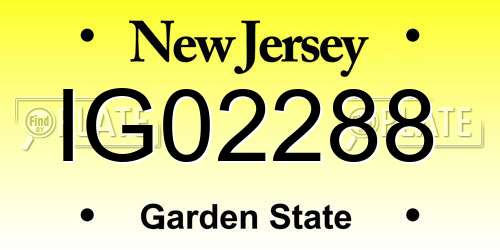IG02288 New Jersey License Plate