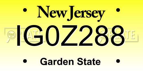 IG0Z288 New Jersey License Plate