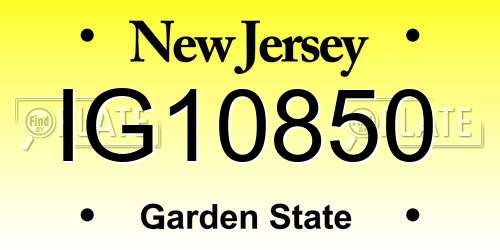 IG10850 New Jersey License Plate