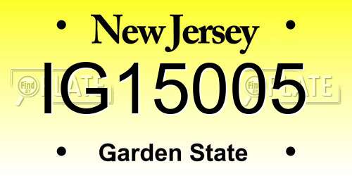 IG15005 New Jersey License Plate