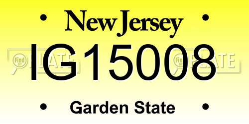 IG15008 New Jersey License Plate