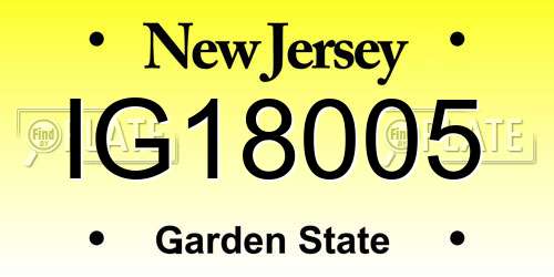 IG18005 New Jersey License Plate