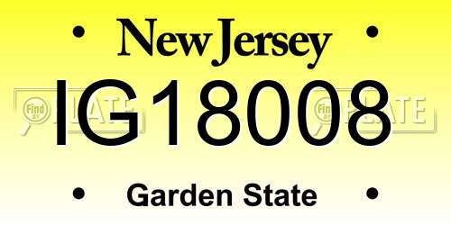 IG18008 New Jersey License Plate