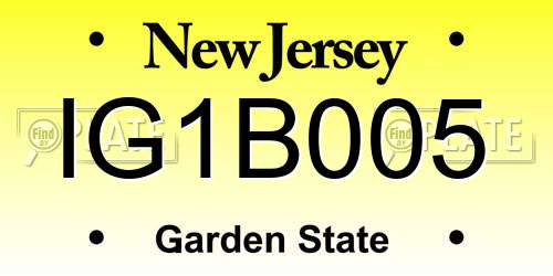 IG1B005 New Jersey License Plate