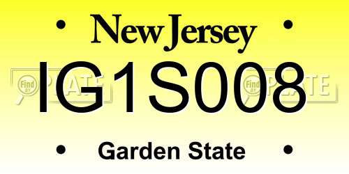 IG1S008 New Jersey License Plate
