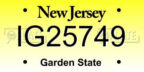 IG25749 New Jersey License Plate