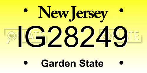 IG28249 New Jersey License Plate