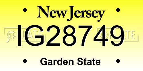 IG28749 New Jersey License Plate