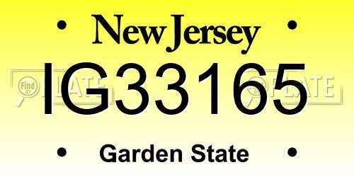 IG33165 New Jersey License Plate