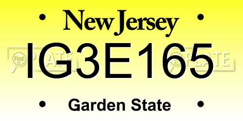 IG3E165 New Jersey License Plate