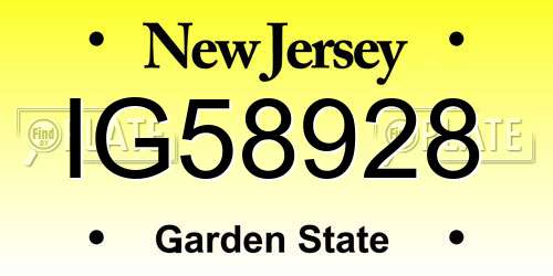 IG58928 New Jersey License Plate