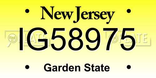 IG58975 New Jersey License Plate