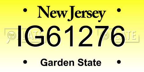 IG61276 New Jersey License Plate