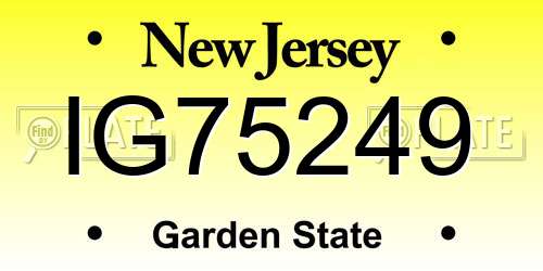 IG75249 New Jersey License Plate