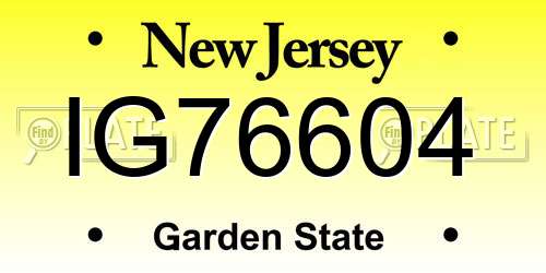 IG76604 New Jersey License Plate