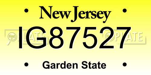 IG87527 New Jersey License Plate