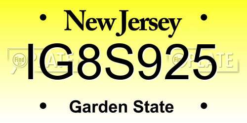 IG8S925 New Jersey License Plate