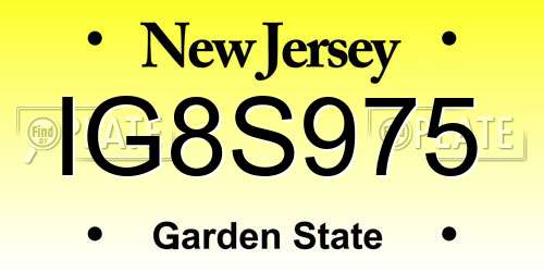 IG8S975 New Jersey License Plate