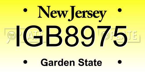 IGB8975 New Jersey License Plate