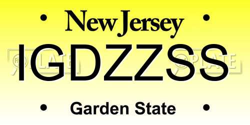 IGDZZSS New Jersey License Plate