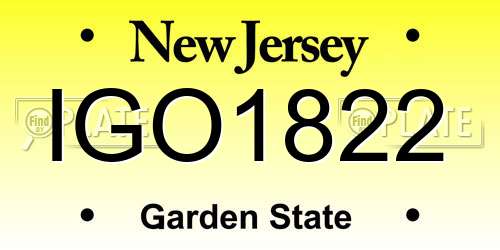 IGO1822 New Jersey License Plate
