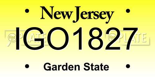 IGO1827 New Jersey License Plate