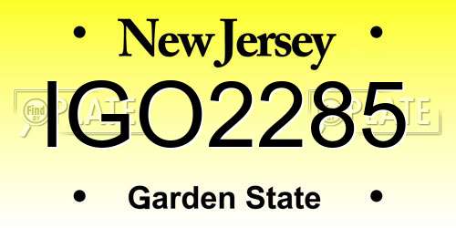 IGO2285 New Jersey License Plate