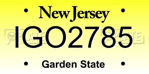 IGO2785 New Jersey License Plate