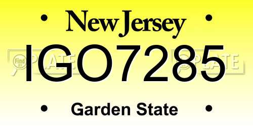 IGO7285 New Jersey License Plate