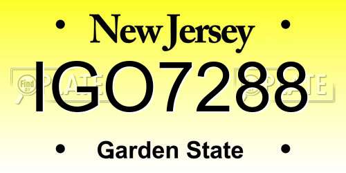 IGO7288 New Jersey License Plate