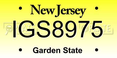 IGS8975 New Jersey License Plate